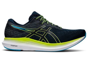 Blue / Green Asics EVORIDE 2 Men's Running Shoes | RNGM2121