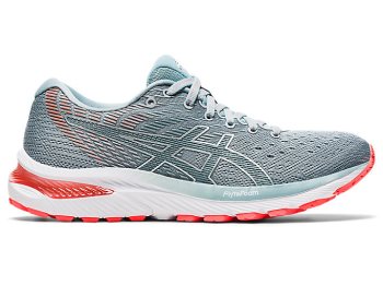 Grey / Light Grey Asics GEL-CUMULUS 22 Women's Running Shoes | BGDY7640