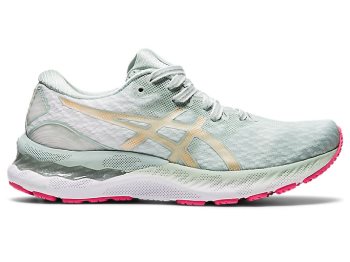 Lichen Rock / Champagne Asics GEL-NIMBUS 23 Women's Running Shoes | XURT2951