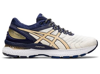 White Asics GEL-Nimbus 22 THE NEW STRONG Women's Running Shoes | WWTC3646