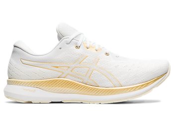 White / White Asics EVORIDE Men's Running Shoes | QCMI6006