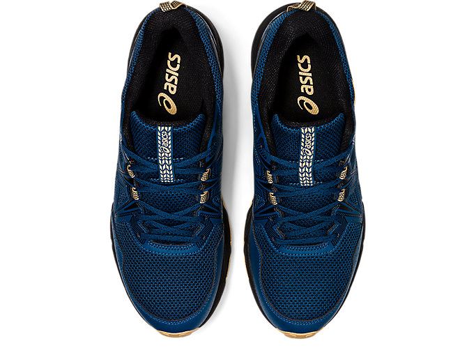 Blue / Black Asics GEL-VENTURE 8 (4E) Men's Trail Running Shoes | NJNW7251
