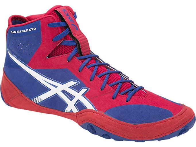 Blue / White Asics Dan Gable Evo Men's Wrestling Shoes | SCUI2033