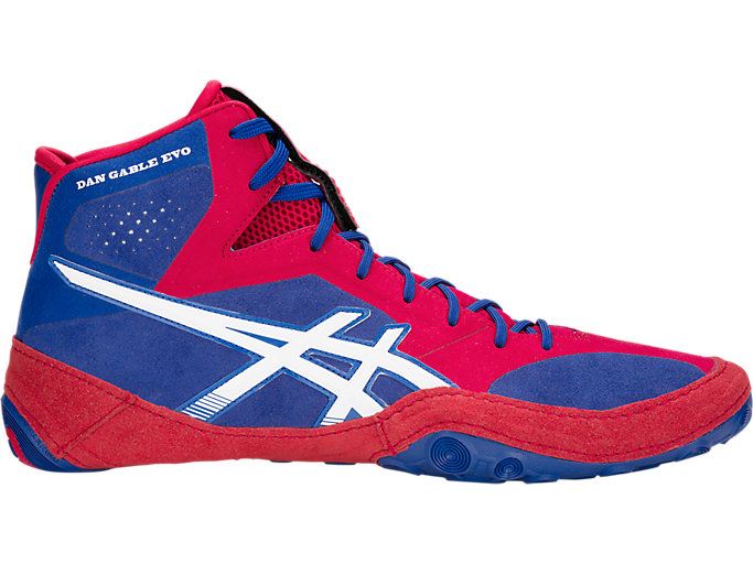 Blue / White Asics Dan Gable Evo Men's Wrestling Shoes | SCUI2033