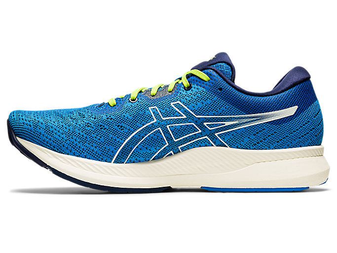 Blue / White Asics EVORIDE Men's Running Shoes | UTHF3908