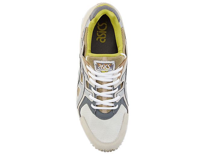 Cream / Silver Asics GEL-DS Trainer OG Men's Sneakers | OIHC3420