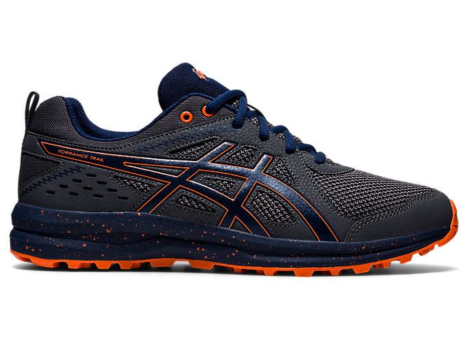 Grey / Blue Asics GEL-TORRANCE Trail Men\'s Trail Running Shoes | KXNZ1361