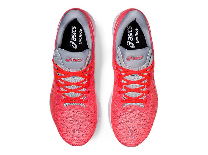 Orange Coral / Coral Asics EVORIDE Women's Running Shoes | UELP2835