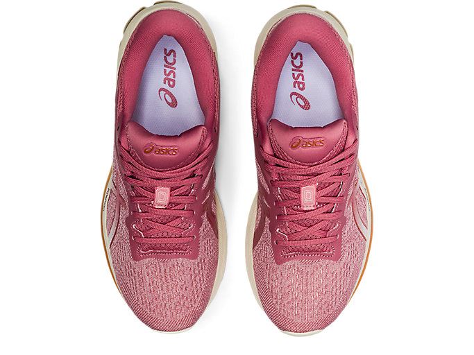 Pink / Rose Asics GT-1000 10 Women's Running Shoes | VJXU9655